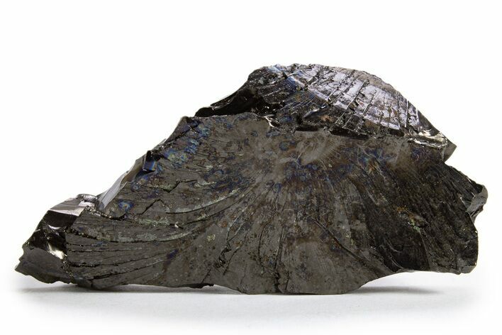 Lustrous, High Grade Shungite - Colombia #324913